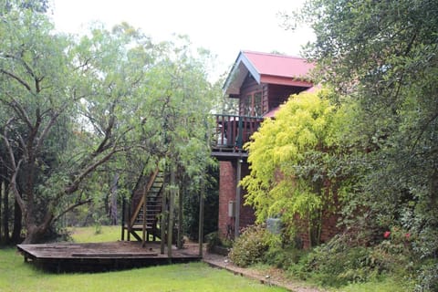 Storey Grange Bed and Breakfast in Springwood