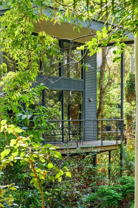 Pethers Rainforest Retreat Vacation rental in Tamborine Mountain