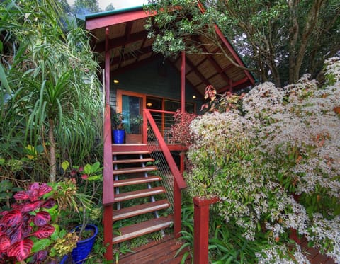 Maleny Tropical Retreat Bed and Breakfast in Balmoral Ridge