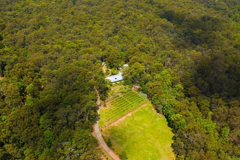 Wallaby Ridge Retreat Vacation rental in Tamborine Mountain