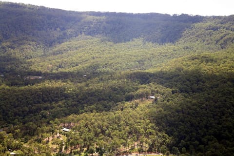 Wallaby Ridge Retreat Vacation rental in Tamborine Mountain