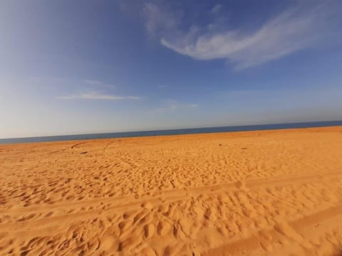 Wild Palms on Sea Resort in Thiruvananthapuram