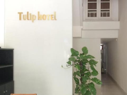 Tulip Hotel - Vu Ngoc Phan Vacation rental in Hanoi