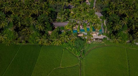 Ubud Padi Villas Vacation rental in Abiansemal