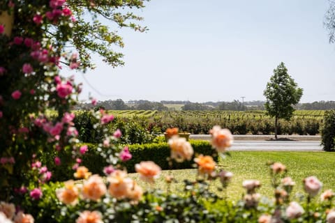 Barossa House Bed and Breakfast in Tanunda