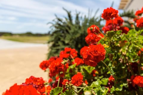 Wytonia Beachfront Accommodation Vacation rental in Port Fairy