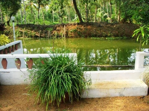 Backwater Heritage Homestay Casa vacanze in Kottayam