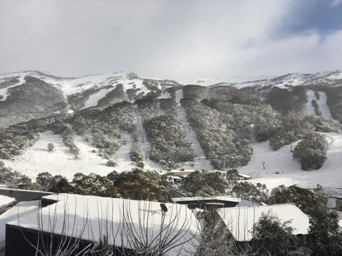 Kasees Apartments & Mountain Lodge Vacation rental in Thredbo