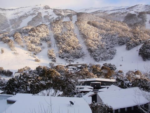 Kasees Apartments & Mountain Lodge Vacation rental in Thredbo