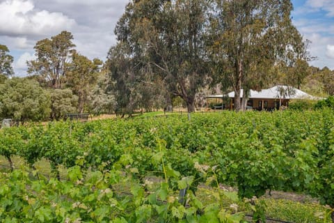 Island Brook Estate Alquiler vacacional in Yelverton