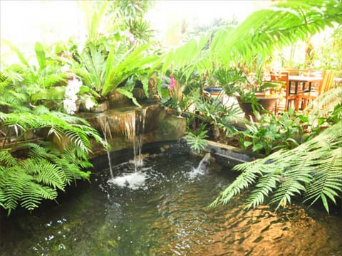 Casa Verde Boutique Hotel and Gardens Vacation rental in Bacoor