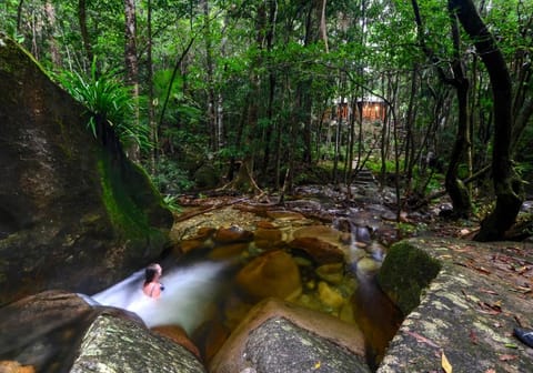 Daintree Cascades Vacation rental in Diwan