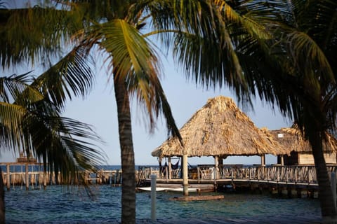 Thatch Caye Resort a Muy'Ono Resort Vacation rental in Stann Creek District