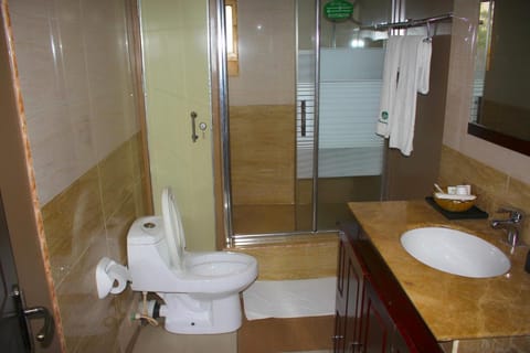 De Rembrandt Hotels and Suites Hotel in Lagos