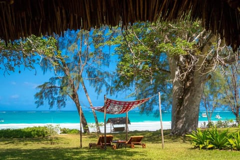 Nomad Beach Resort Vacation rental in Diani Beach