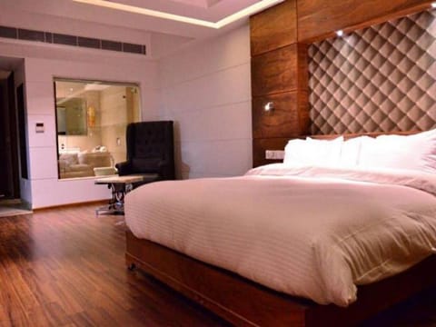 Silvete Hotel Hotel in Lucknow