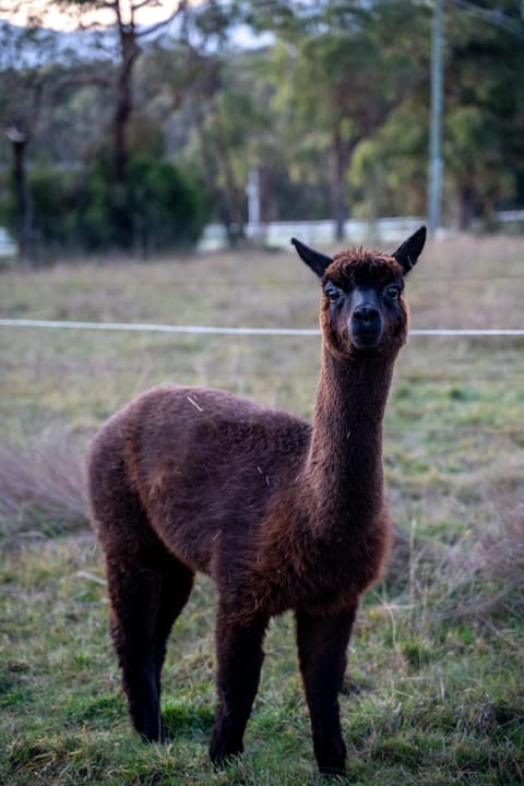 Deville At Healesville Vacation rental in Badger Creek