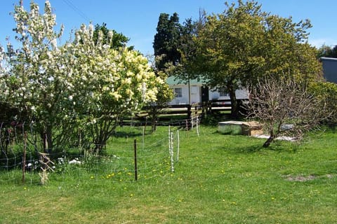 Wacky Stays - unique farm-stay glamping rentals, FREE animal feeding tours Vacation rental in Kaikōura