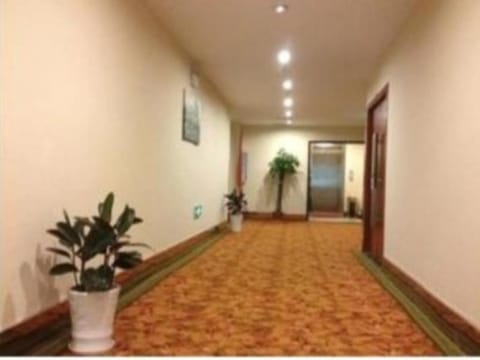GreenTree Inn Jiangxi Yingtan Railway Station Square Business Hotel Hotel in Fujian