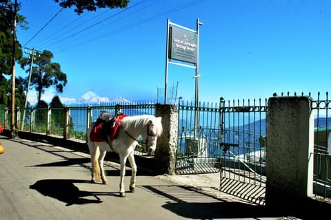 Central Gleneagles Heritage Resort -The Mall Road Darjeeling Bed and Breakfast in Darjeeling