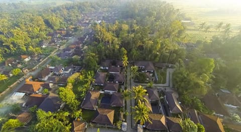 Ubud Raya Villa Vacation rental in Abiansemal