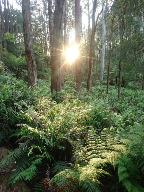 Carinya Park Vacation rental in Gembrook