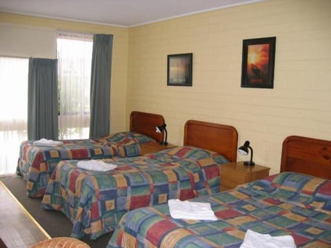 Gisborne Motel Vacation rental in Gisborne