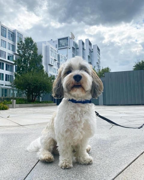 Tivoli Hotel Hotel in Copenhagen