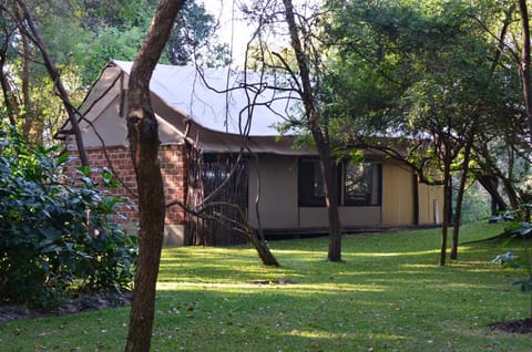 Camp Nkwazi Lodge in Zimbabwe