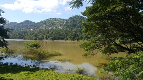 River Side Homestay Apartment Vacation rental in Kandy
