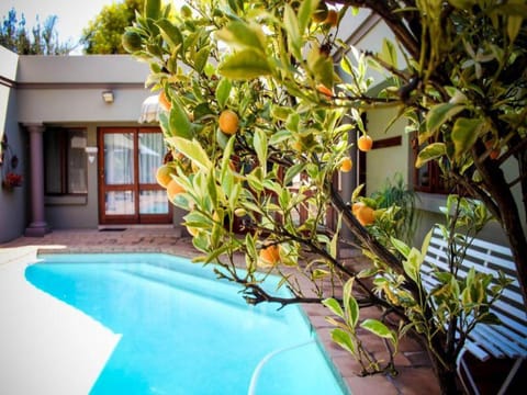 Silver Palms Guest House Bed and Breakfast in Pretoria
