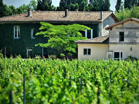 Petit Garros Vacation rental in Fronsac