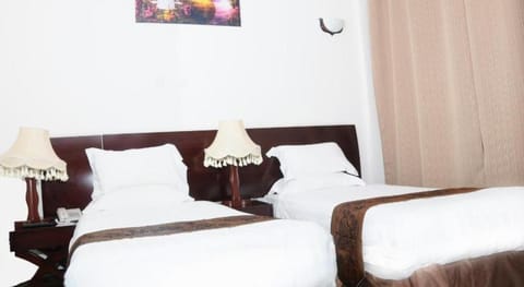 AG Palace Hotel Vacation rental in Addis Ababa