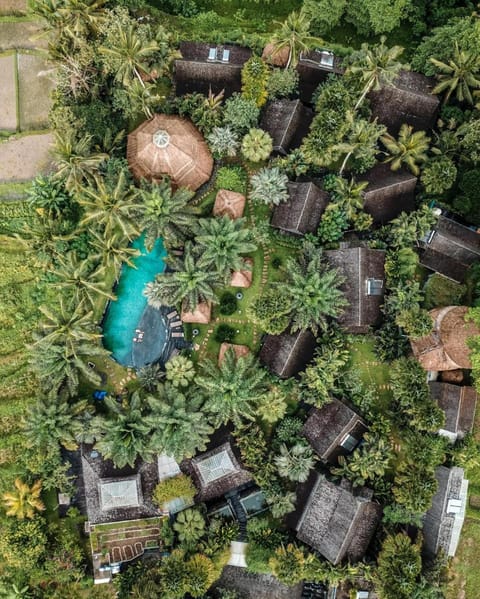 Blue Karma Ubud Vacation rental in Ubud