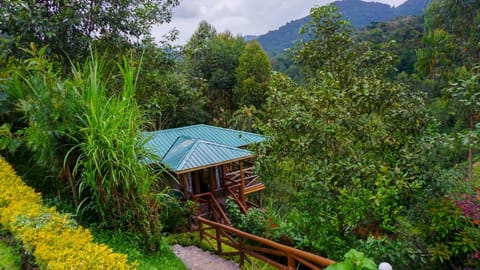 Rushaga Gorilla Lodge Capanno in Uganda