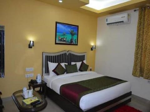 Hotel Aero View Hotel in New Delhi