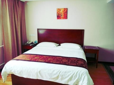 GreenTree Inn Gansu Wuwei Dongguan Fumin Road Express Hotel Hotel in Qinghai