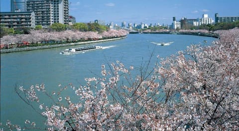 Sakura Garden Hotel Vacation rental in Osaka