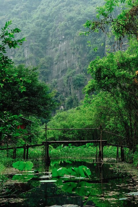 Chez Beo Homestay Vacation rental in Laos