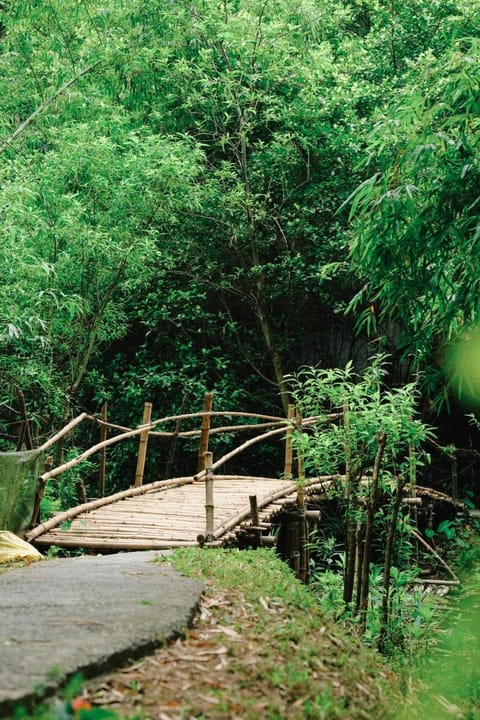 Chez Beo Homestay Vacation rental in Laos