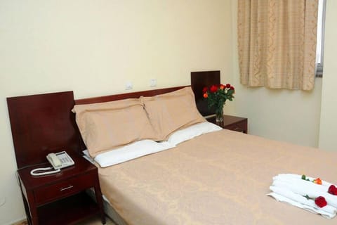 Baks Hotel Apartment Vacation rental in Addis Ababa