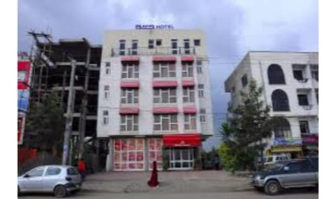 Baks Hotel Apartment Vacation rental in Addis Ababa
