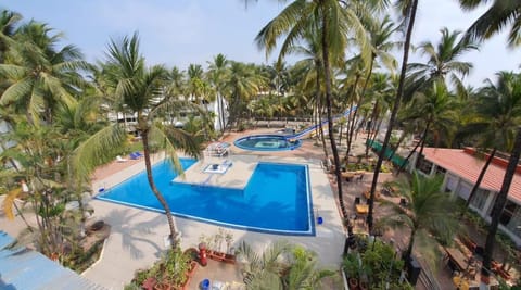 Coconut Ivy Resort Hotel in Alibag