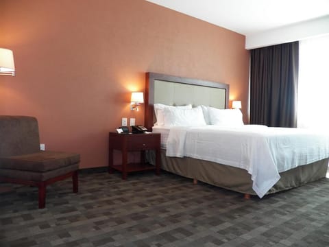 Holiday Inn Leon Plaza Mayor Vacation rental in Leon