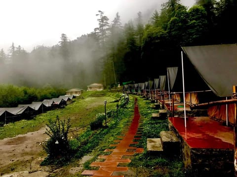 Mashobra Greens Shimla Luxury tent in Shimla