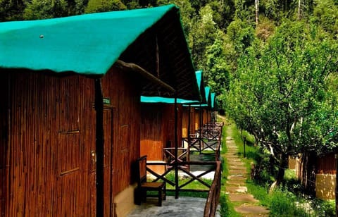 Mashobra Greens Shimla Luxus-Zelt in Shimla