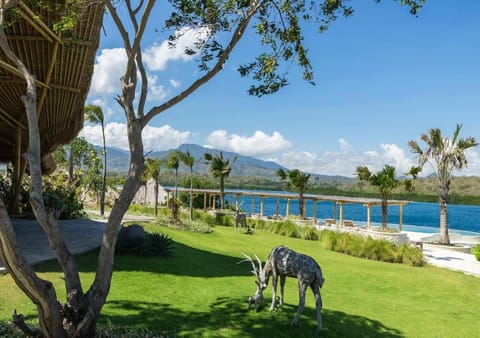 Menjangan Dynasty Resort Luxury tent in Bali