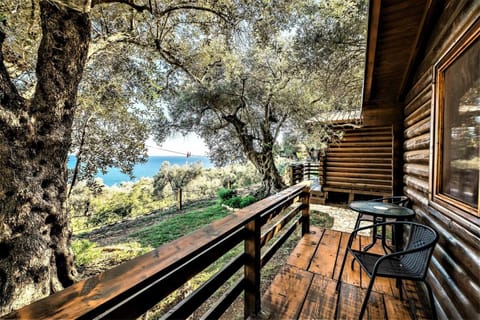 Holiday Park Olive Tree Vacation rental in Ulcinj