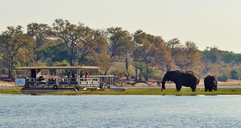 River View Lodge Capanno in Zambia