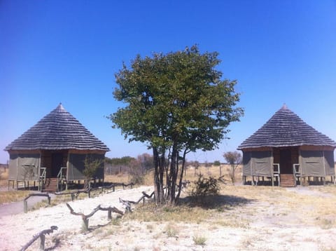 Pelican Lodge and Camping Capanno in Zimbabwe